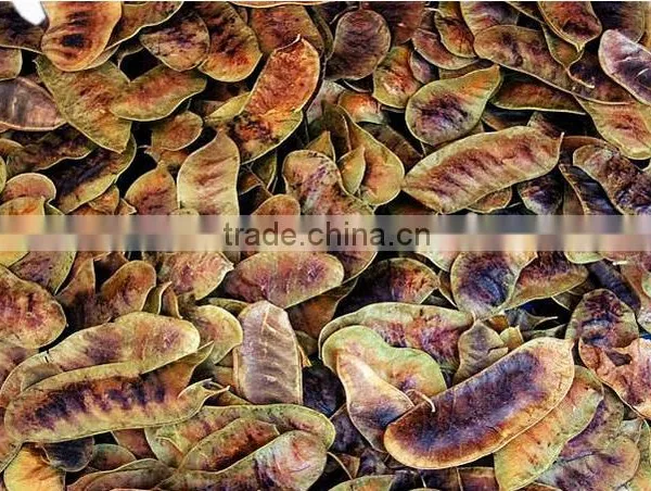 High Grade Senna Pods and Senna Leaves