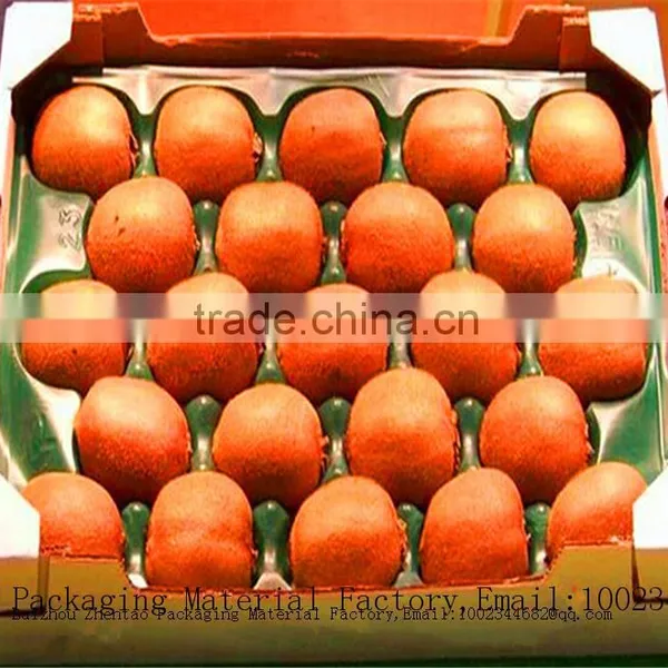 Professional Manufacture Fruit Packaging Tray With Holes Cup Holder photo-5