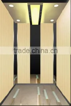 Mirror Etched Passenger Elevator