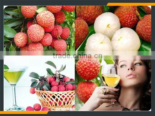Leader Stainless Steel Longan Fruit Juicer Machine With CE & ISO photo-6