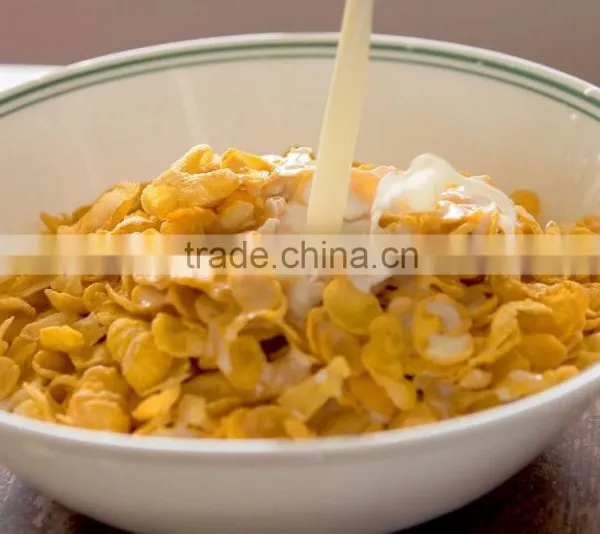 Corn Flake & Breakfast Cereals Machinery/processing Line /making Machine photo-4