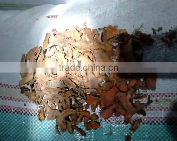 Slice Dried Turmeric From Indonesia. Good Taste and Cucurmin Content photo-6