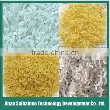 Single Screw Extruder Automatic Nutritional Rice Processing Machinery photo-5