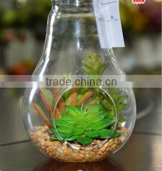 CIA Hanging Succulents Mini Plants Artificial Glass Potted Plants