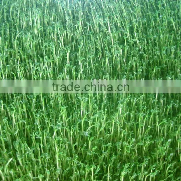 Hydroponics Animal Fodder Machine is Full Automatic Wheat, Barley, Alfalfa photo-5