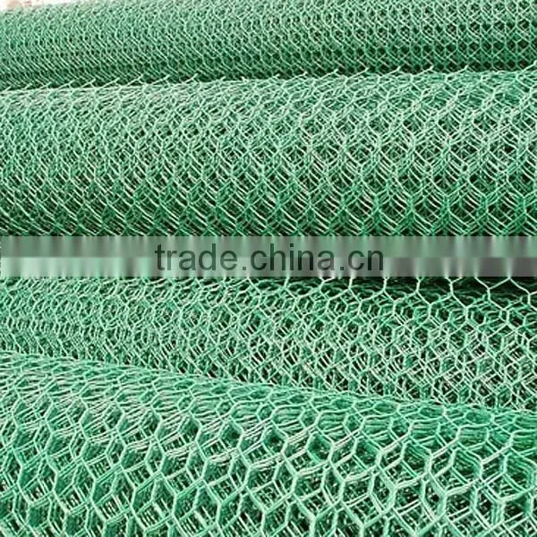 Pvc Chicken Coop Galvanized Wire Mesh photo-3