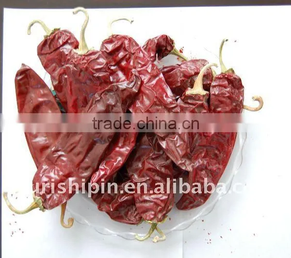 Red Chili Pepper photo-3