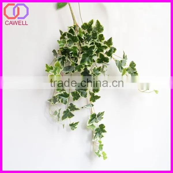 Important of Ornamental Plant photo-4