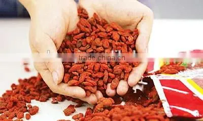 Ning Xia Manufacturer Goji Berries Dried Fruit