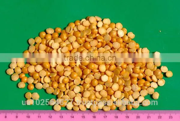 Yellow Split Polished Peas From Ukraine
