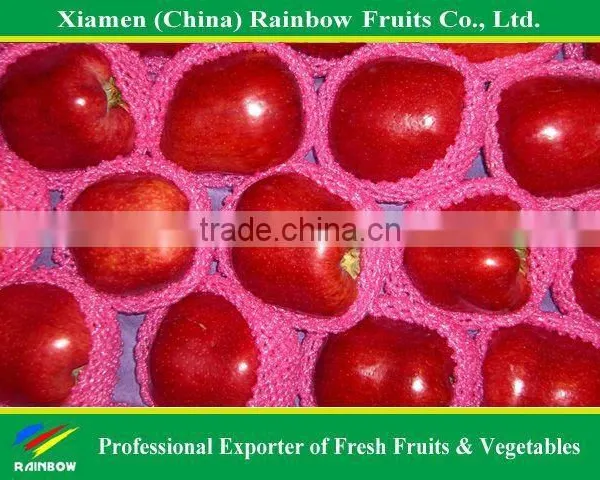 Red Delicious Apples photo-6