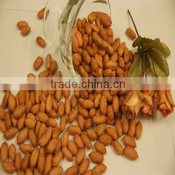 Chinese Peanut Kernels ,biggest Peanut Kernel