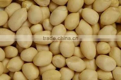 High Quality Blanched Peanuts photo-2