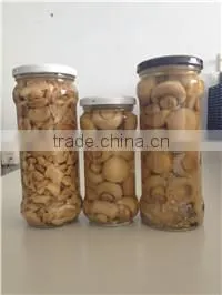 CANNED MUSHROOMS(CHAMPIGNONS)