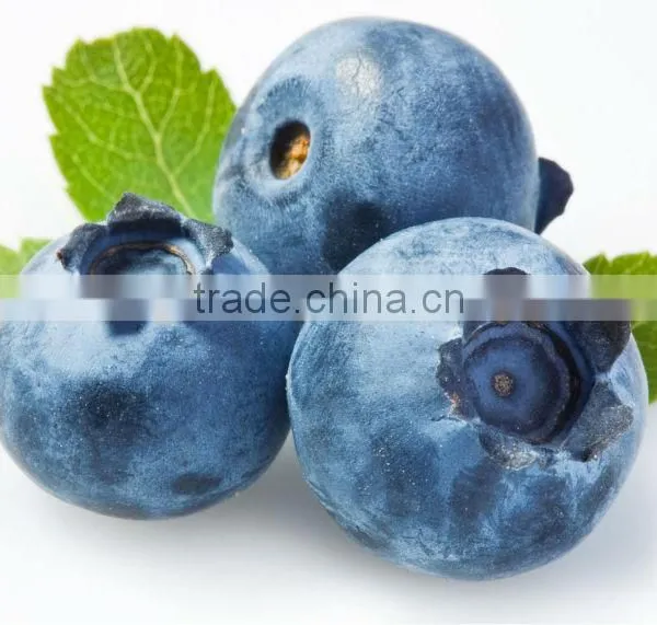 Bilberry Extract/ Plant Extract C3G/Vaccinium UliginosumP.E./Blueberry Extract