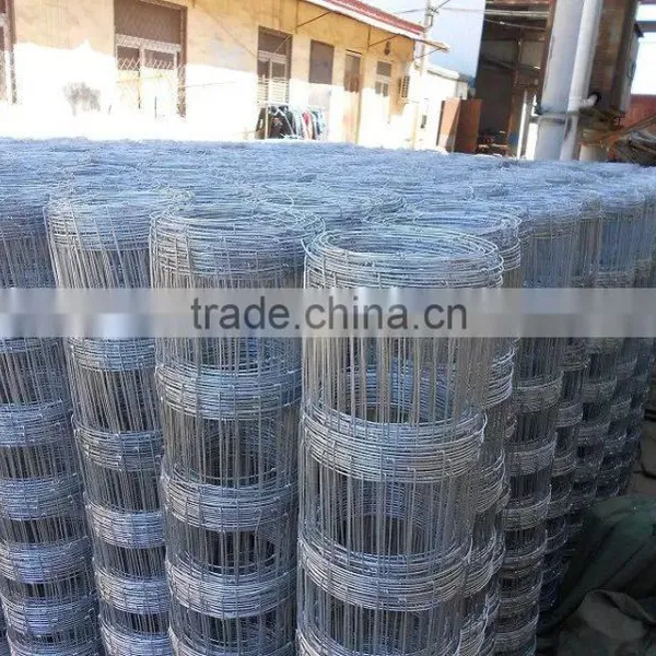 Grassland Field Fence/ Hot Galvanzied Hinge Joint Knotted Animal Field Fencing Factory photo-4