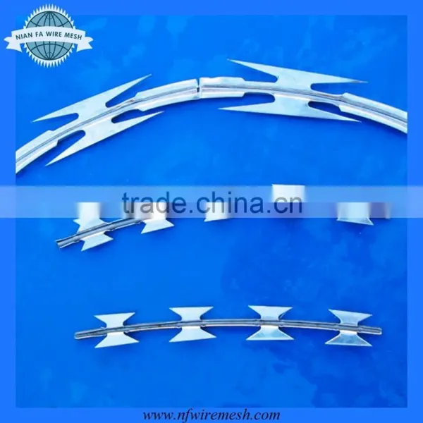 Razor Barbed Wire Galvanized (factory) photo-2