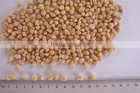 India Stylish 500kg/h Textured Soybean Protein Making Extruder Machine photo-3