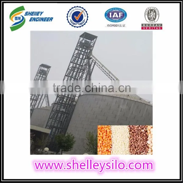 Rice Mill Belt Bucket Elevator Price photo-4