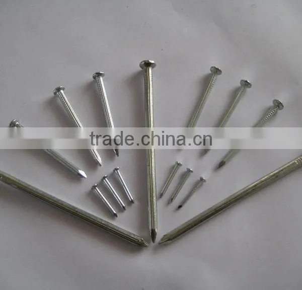Galvanized Steel Concrete Nail Thumb Brand photo-6