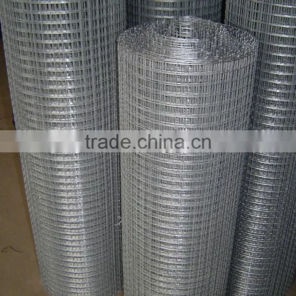 Stainless Steel Wire Mesh/304 Stainless Steel Wire Mesh/Stainless Steel Welded Wire Mesh Factory photo-2