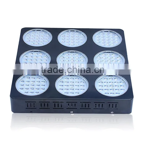 600W Spectrum Slective Led Grow Light,Led Grow Light 600W photo-3
