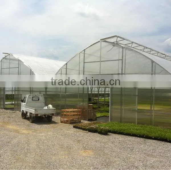 Greenhouse Sale Agriculture Plastic Film Greenhouse for Sale photo-2