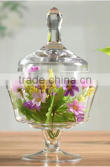European Wedding Decoration Clear Glass Jars With Lid for Food Terarium photo-3