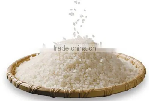 Rice Vermicelli Hot Selling in Thailand photo-4