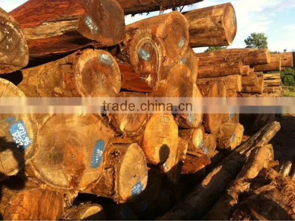 YELLOW BALAU(BATU) LOGS WITH ORGIN FROM LAOS