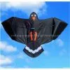 Black Hawk Kite