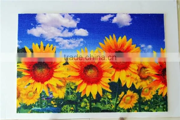 Anti-Fatigue Comfort Mat, Entrance Mat, Nylon Mat With Latex Backing photo-5