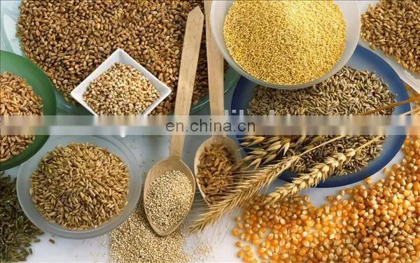Hammer Grinder Small Hammer Mill Feed Grinder photo-4