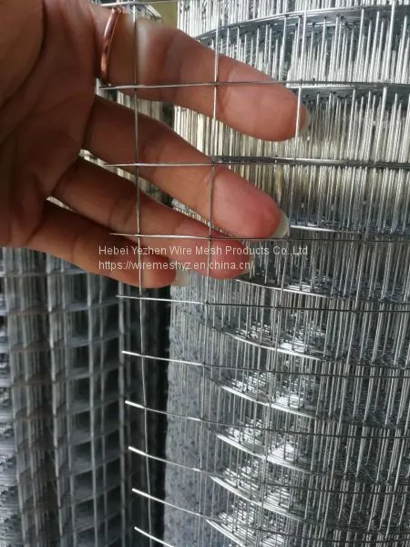 Welded Wire Mesh