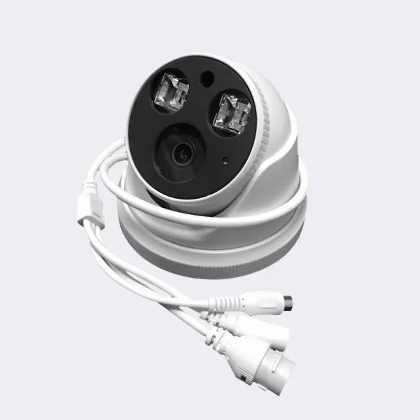 Full Starlight Dome Network IP Camera From CCTV Cameras Suppliers photo-2
