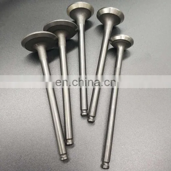 Diesel Engine Generator Spare Parts Engine Valves for MWM Deutz AG TBD 604 BL6 photo-2