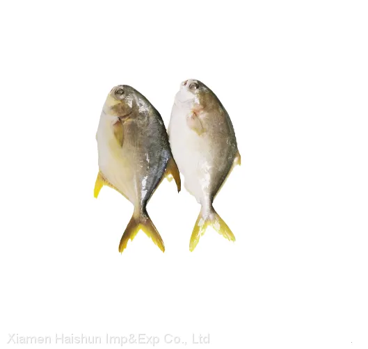Frozen Golden Pompano