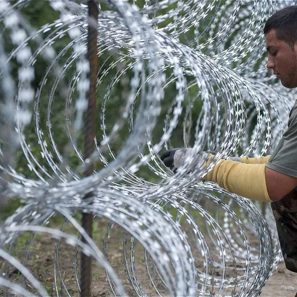 Razor Barbed Wire /Concertina Razor Wire for Security Wire Fence/Galvanized Wire Fencing