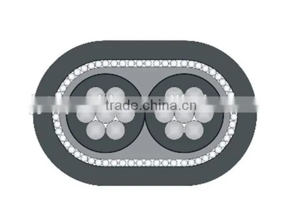 ASTM IEC Concentric Cable photo-2