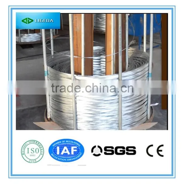 Cheap Electro Galvanized Iron Wire photo-2