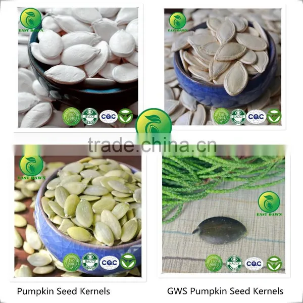 Wholesale Sunflower Seeds in China photo-3