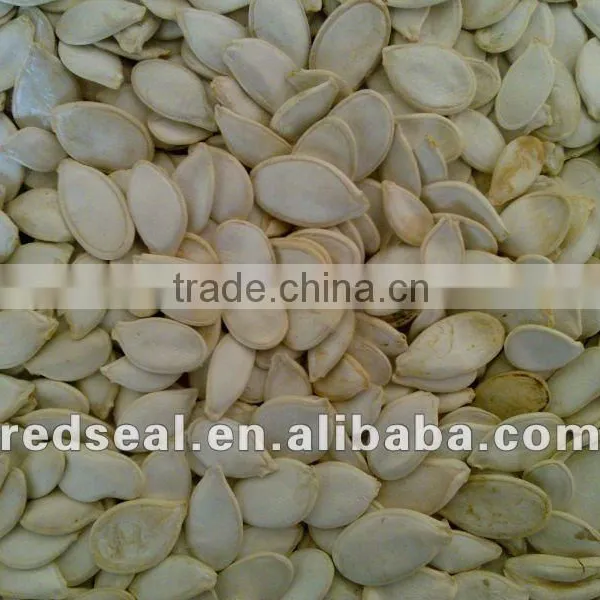 Hot Sale Snow White Pumpkin Seeds 2016 photo-5