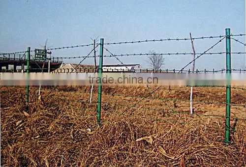 Anping Factory Low Price Barbed Wire photo-6