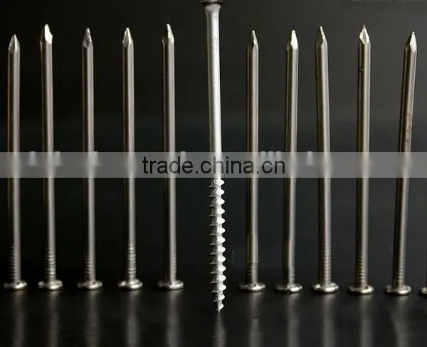 New Type Common Wire Nails Suppliers Directly photo-3