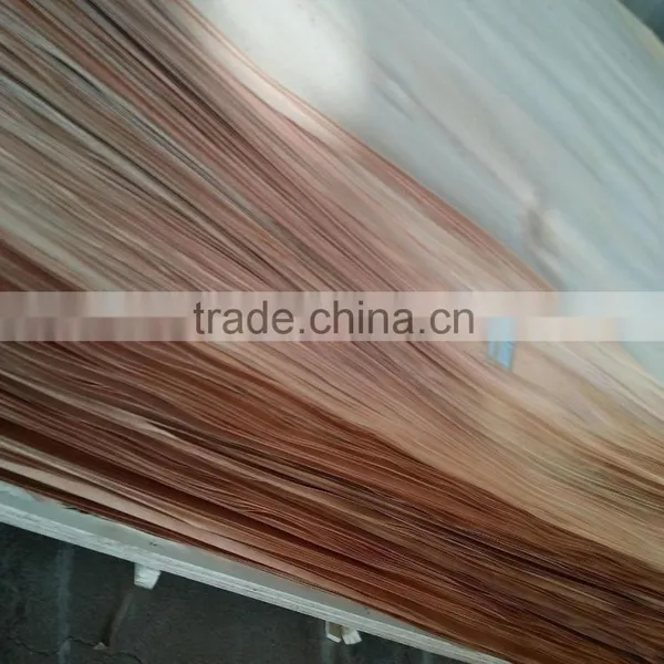 Rengas Veneer photo-6