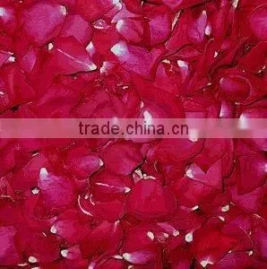 Feeze Dried Rose Petal