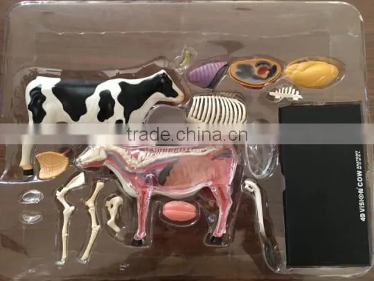 V-AM048 4D MASTER Cow Specimen Anatomical Model photo-6