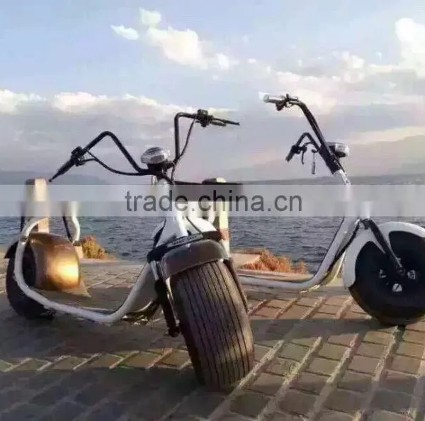 China Supply New Design 2 Wheel Fat Tire Bicycle Electric Motor Electric Scooter photo-5