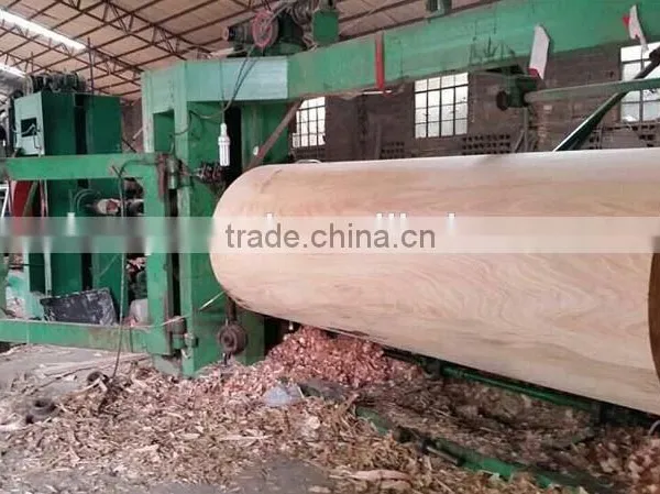 0.30mm Thickness Okoume Wood Veneer photo-4