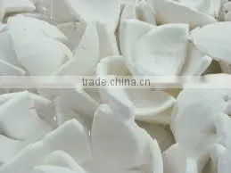 Desiccated Coconut